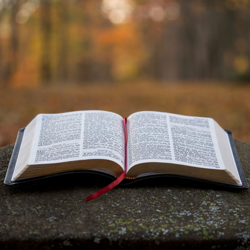 bible on stone table